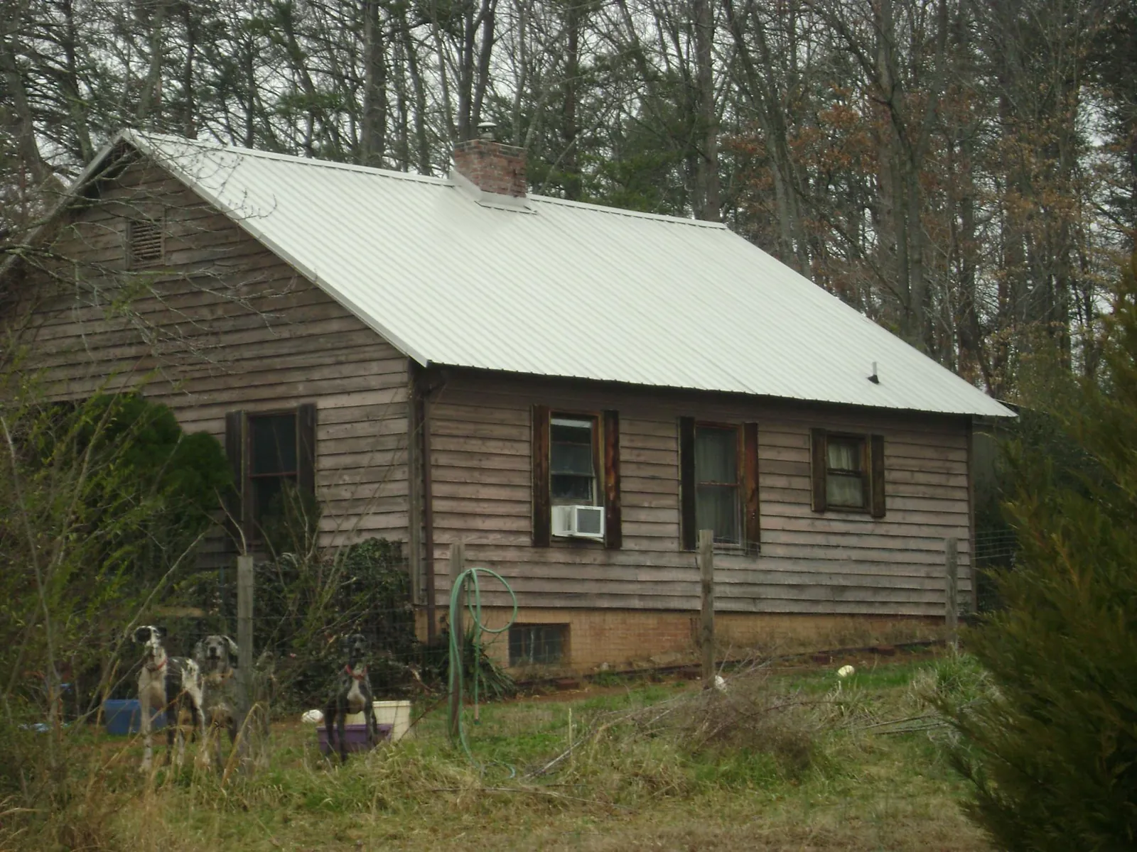White metal roof on an old wood sided farmhouse, from a Asphalt Shingle Roof Repair job in West Chazy